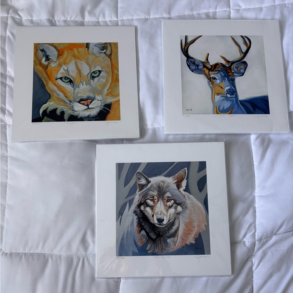 3. 10x10 numbered prints from Jasper National Park